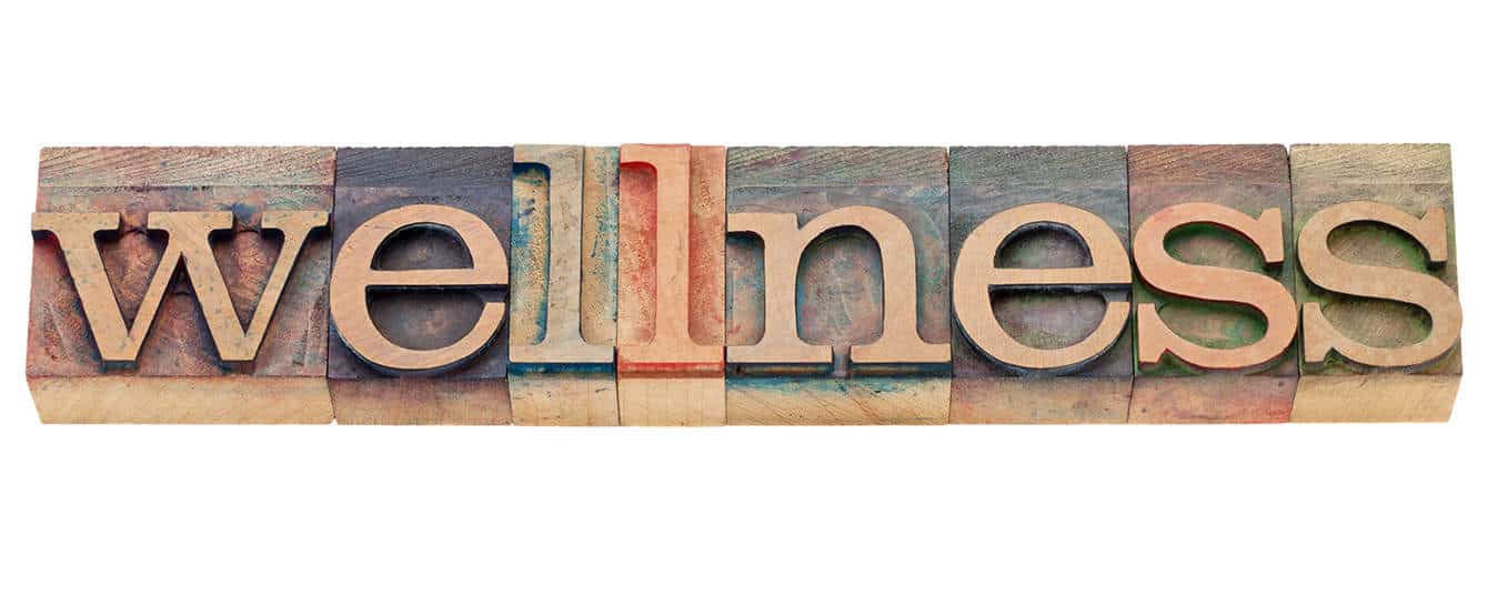 wellness - isolated word in vintage wood letterpress type